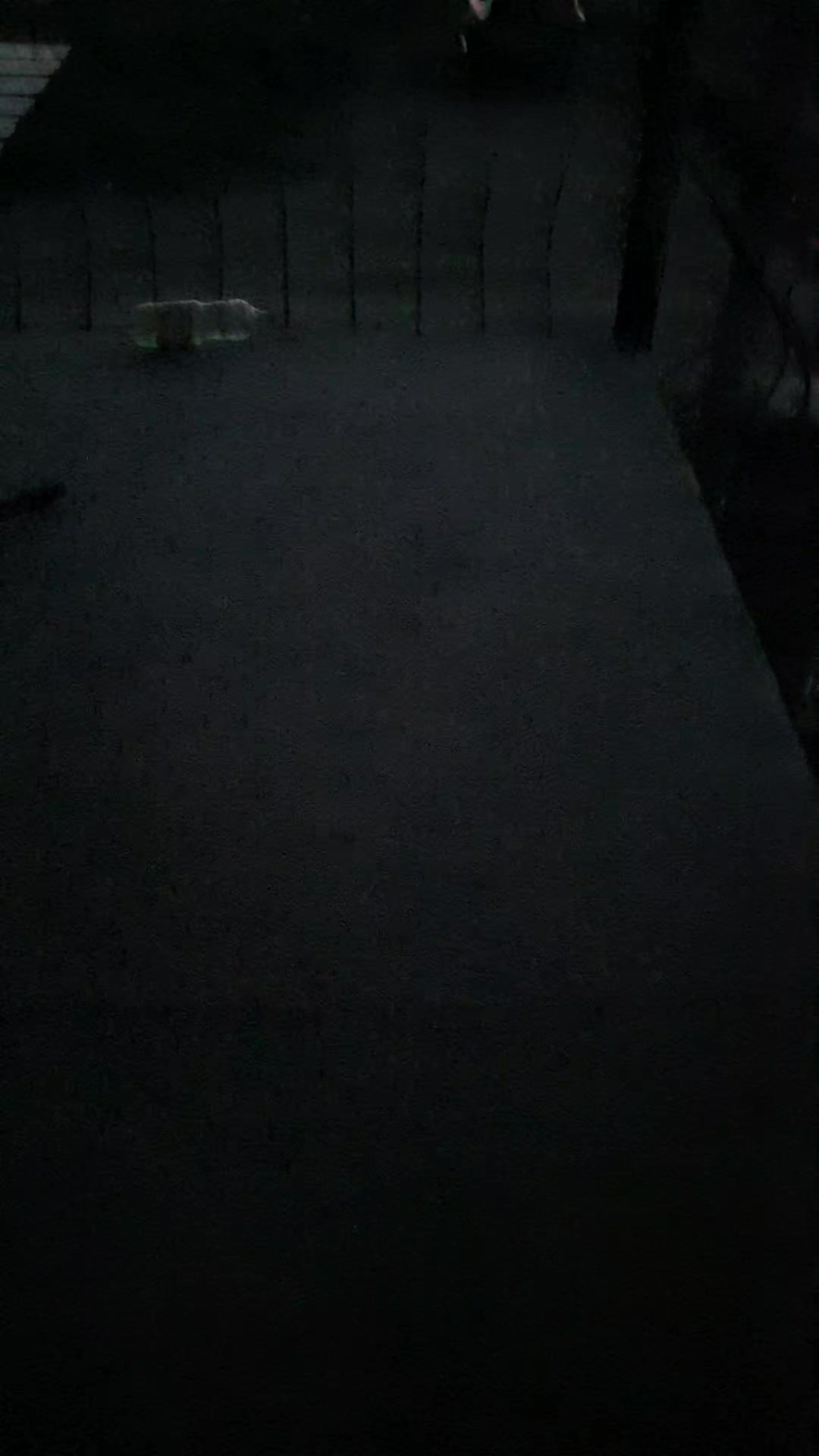 @Пластилин