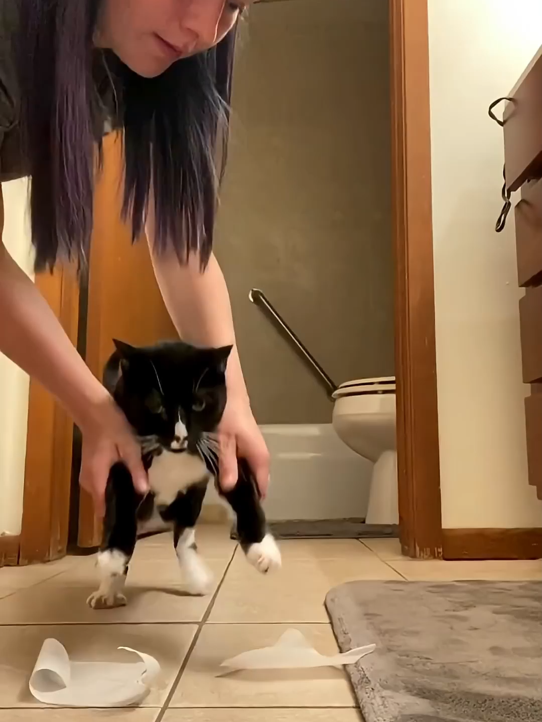 @Funny Cats 🐈