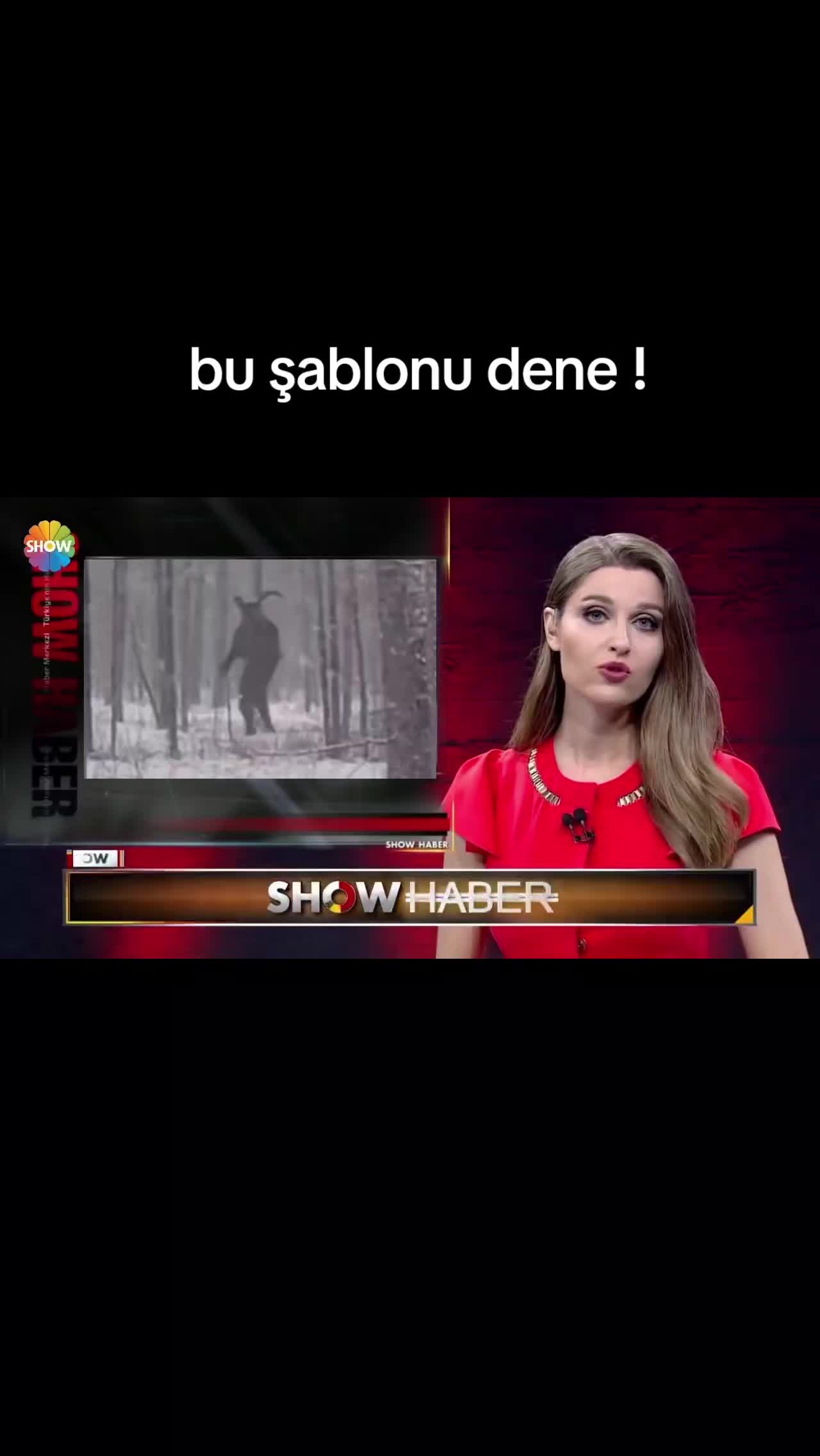 @Kanal B 🇩🇪