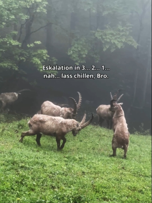 @obersteierstark