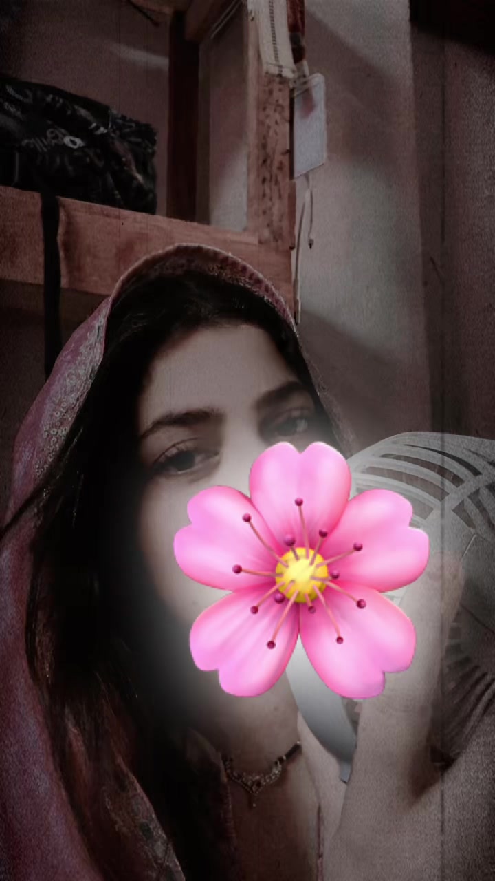 @Aslam Ali🌸