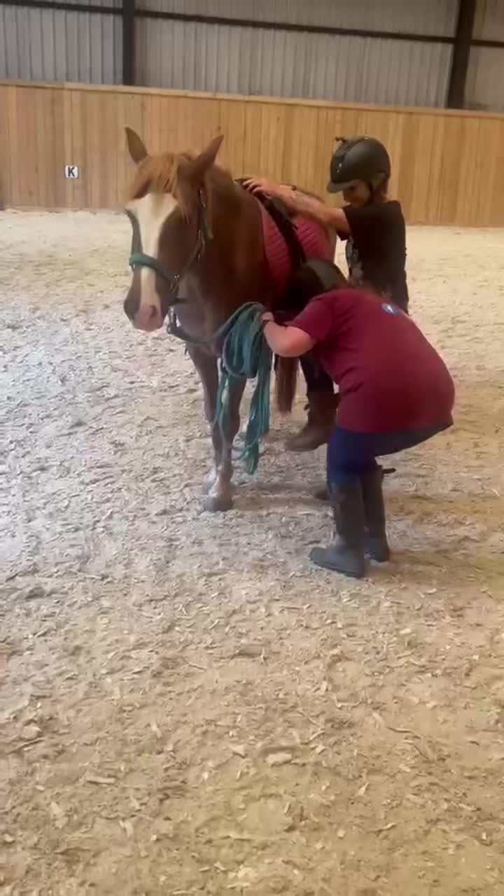 @The Novice Rider