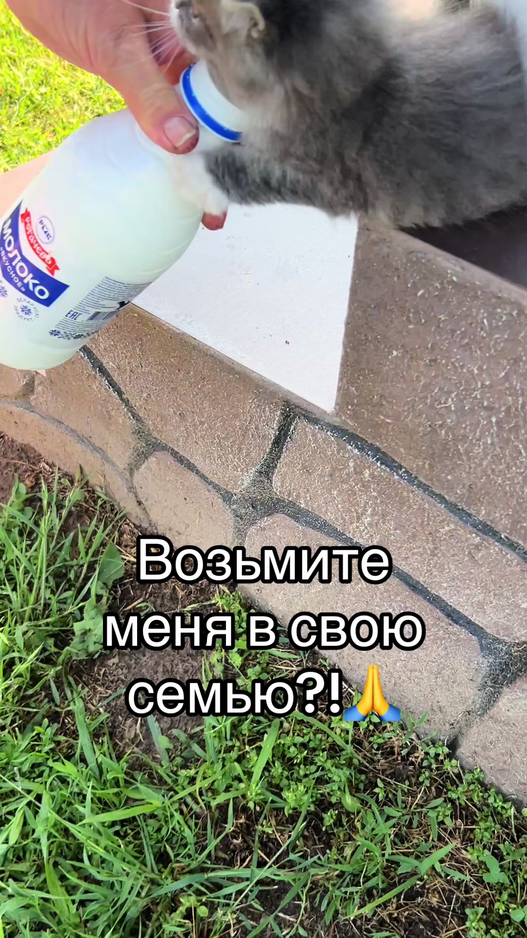 @Марина Руденок