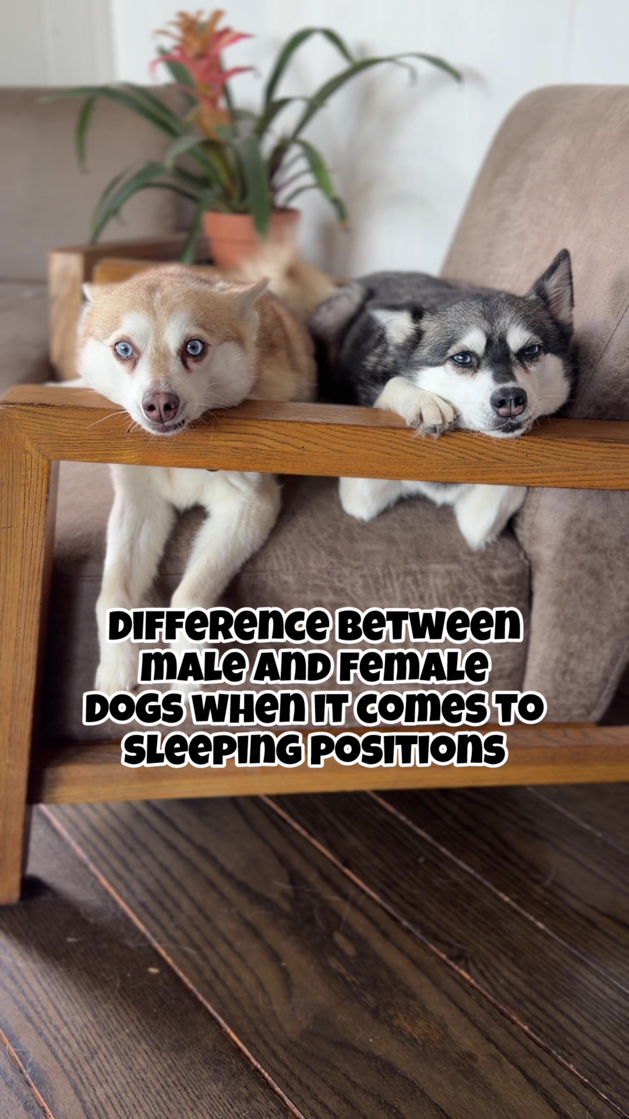 @lifewithkleekai