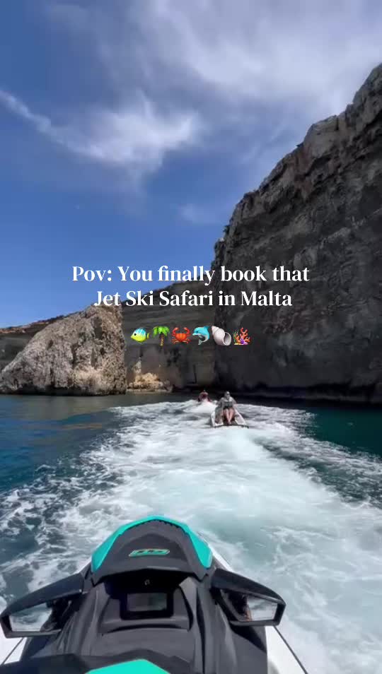 @All You Need Malta