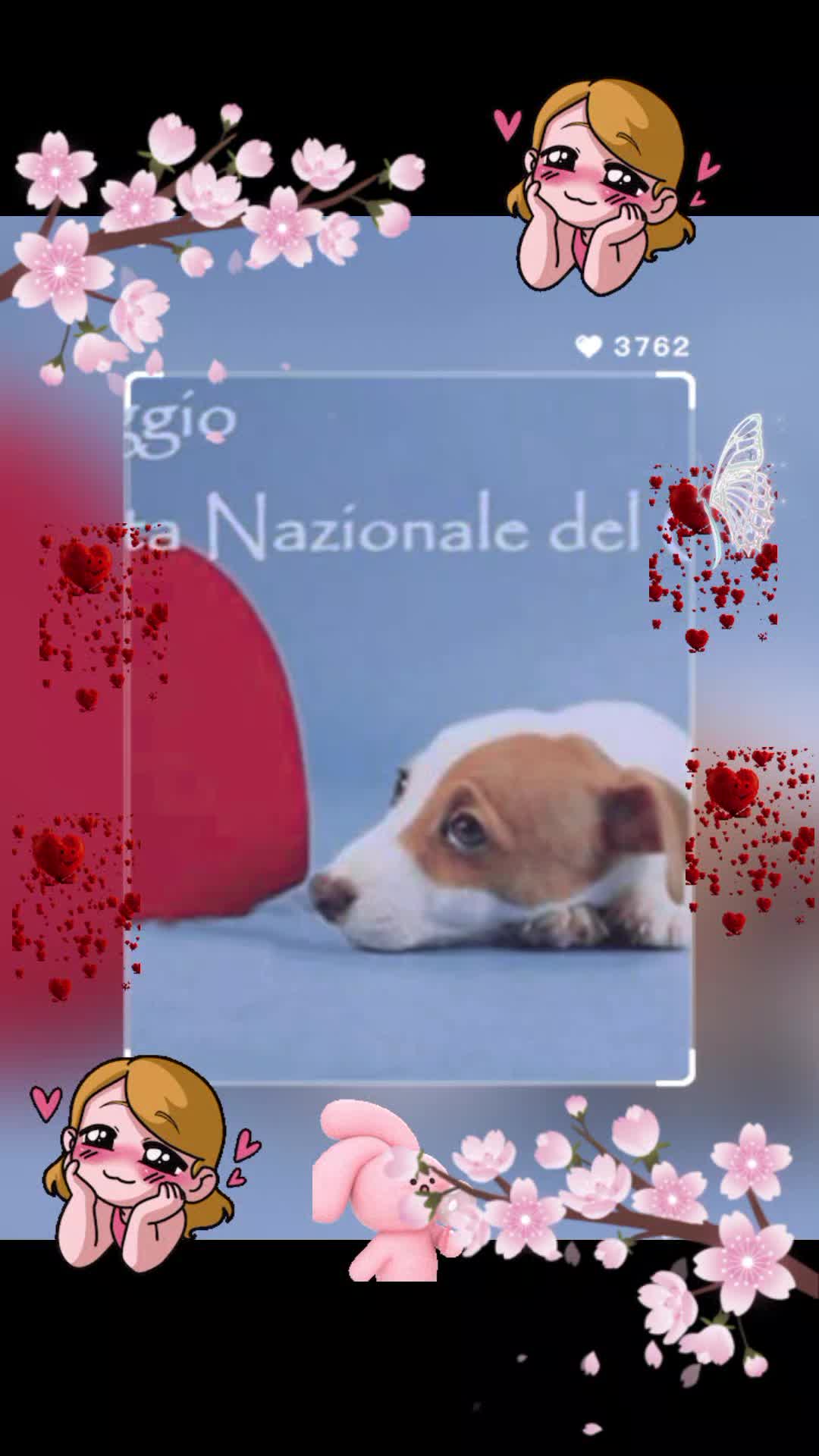 @vitomarabello2