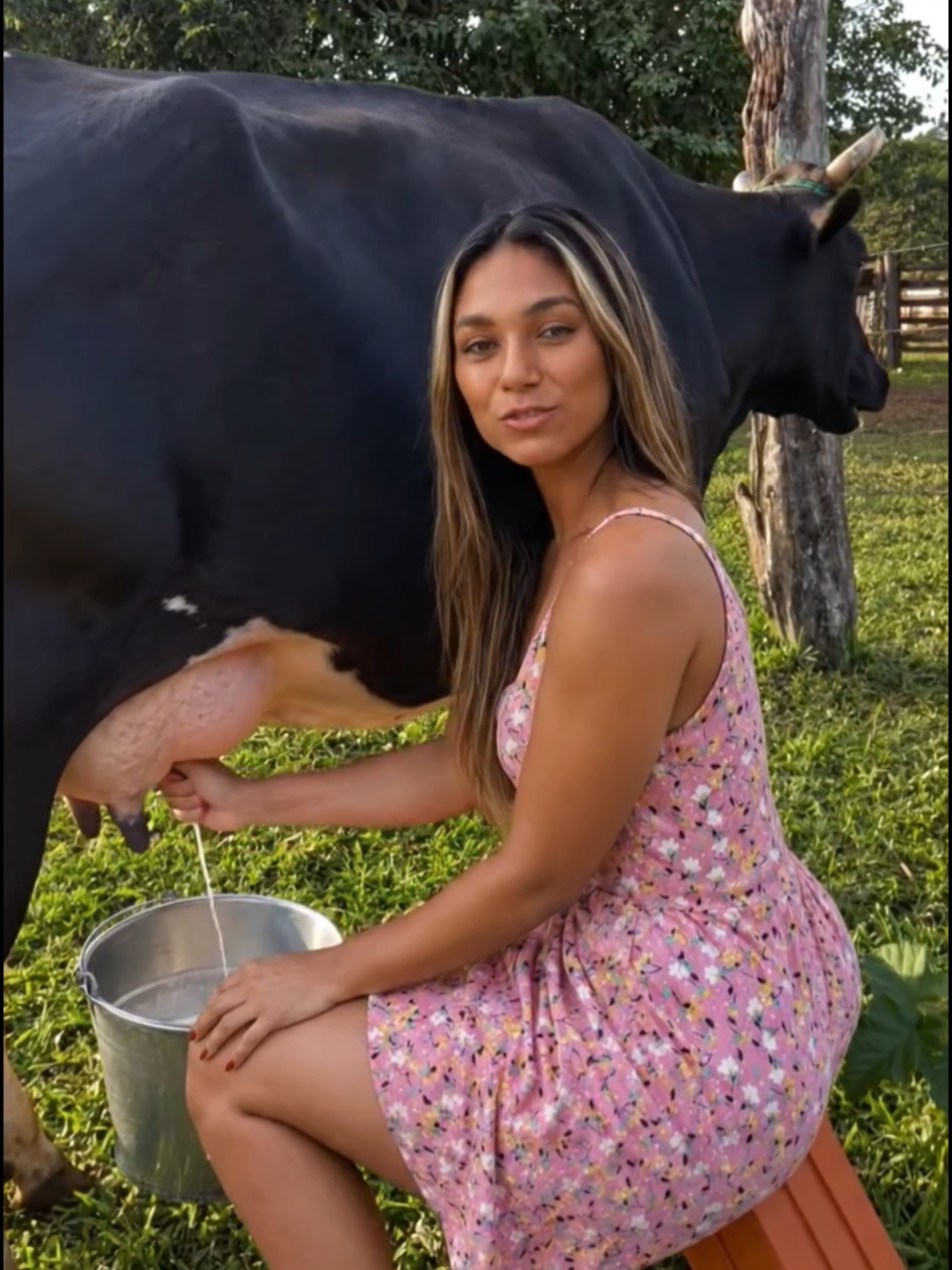 @Bruninha da Fazenda