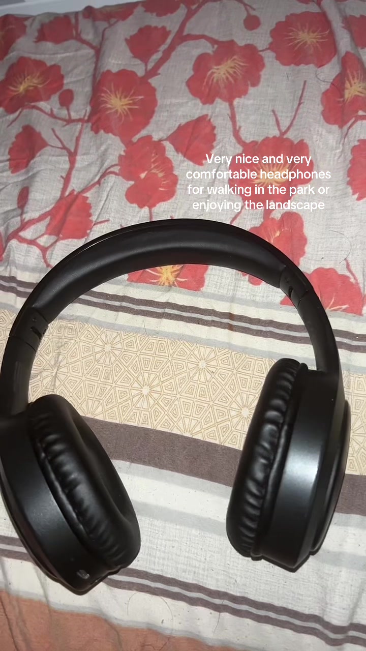 @Good boy