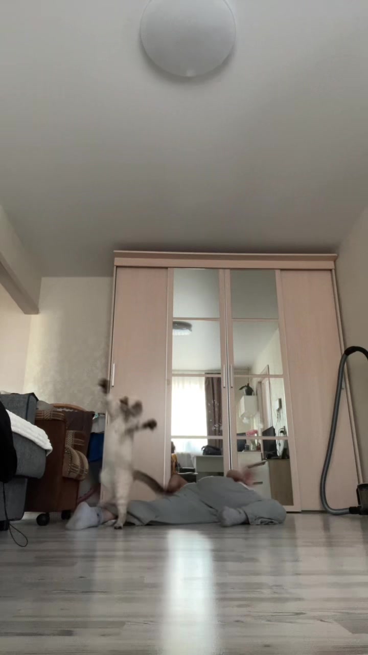@тгк: kammi🐾