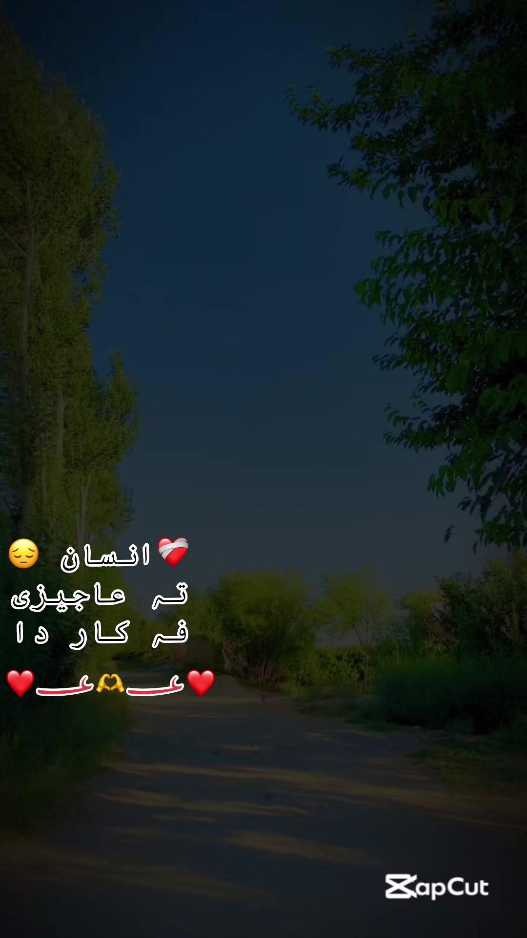 @❤️🩹{بادیزی}{خان}🚭