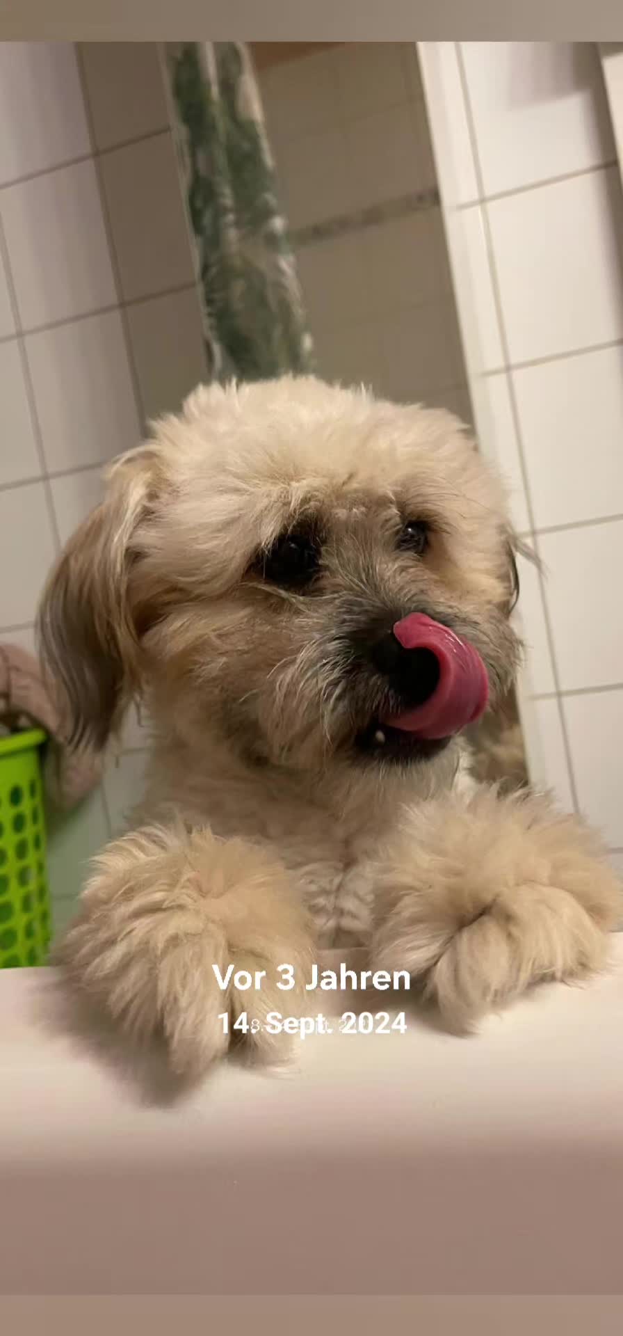 @Sonja