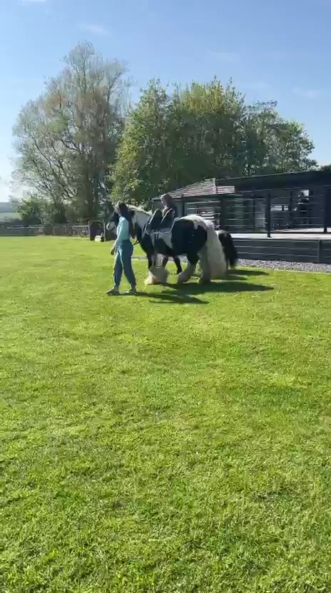 @diamondponyparties