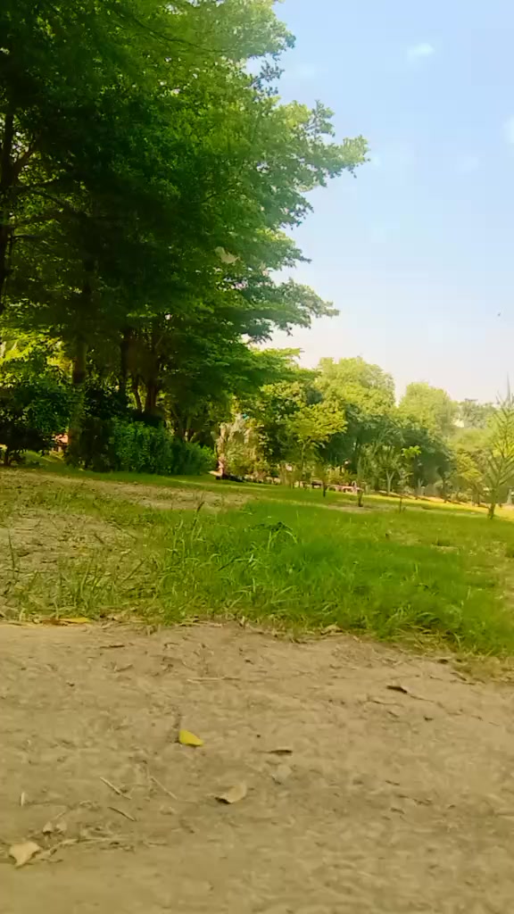 @Dark 🕶️🌑