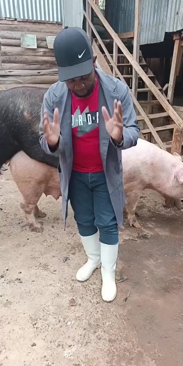 @Pigbreeder