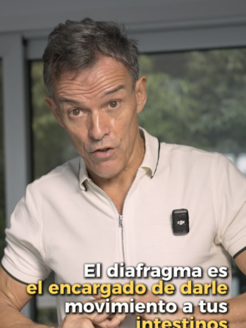 @PITI PINSACH