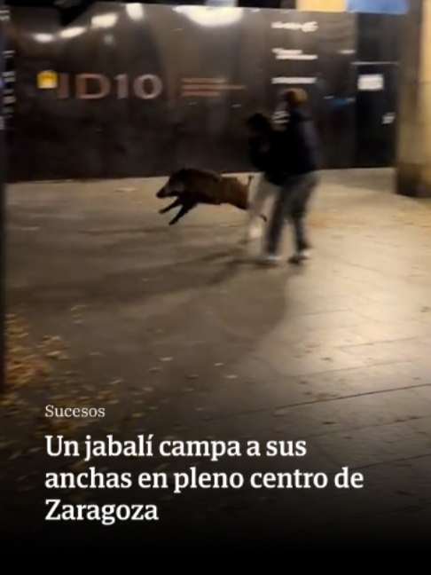 @El Diario Vasco