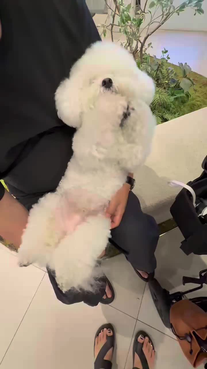 @다산엄마