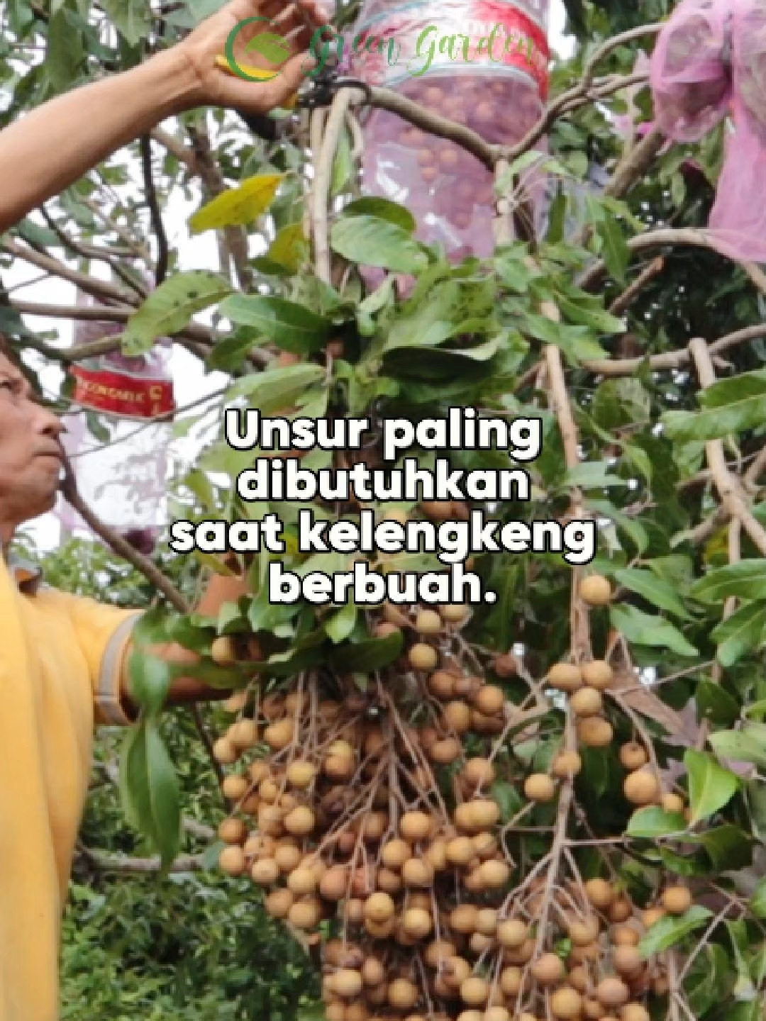 @adyrajalengkeng