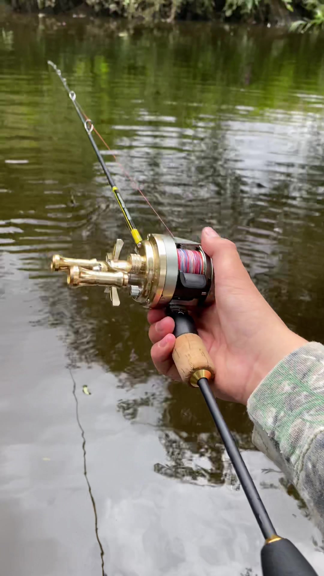 @alfie_fishes_