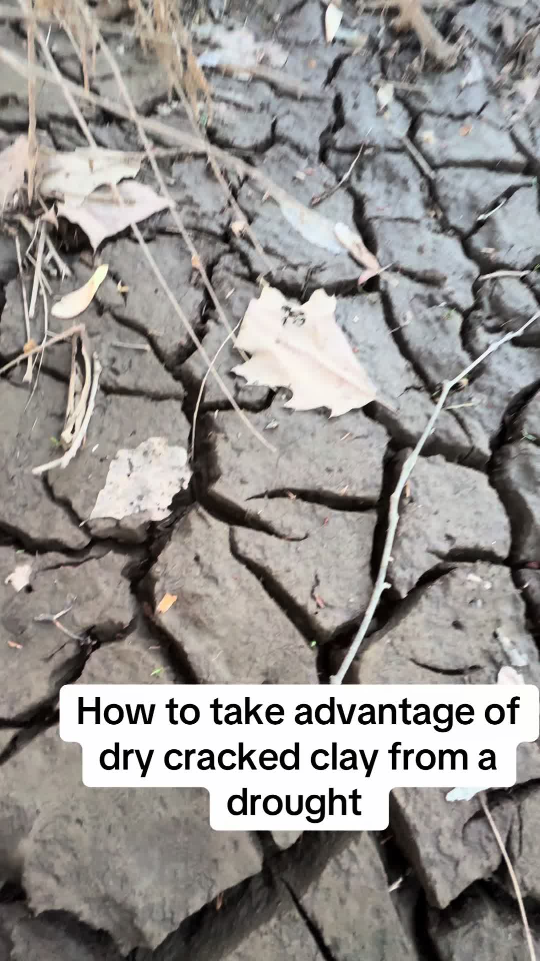 @SEEDTIVA