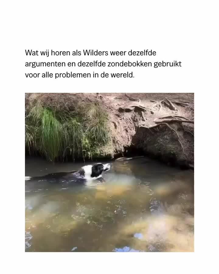@Progressief Nederland