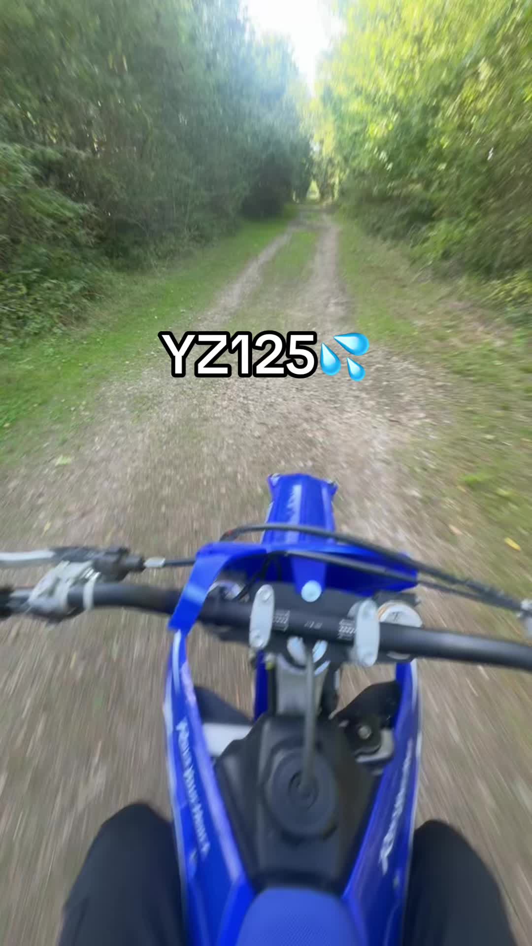 @jx on mx