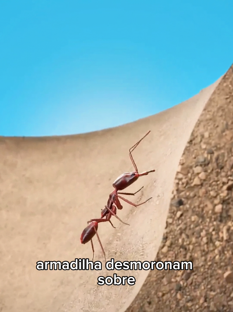 @Curiosity