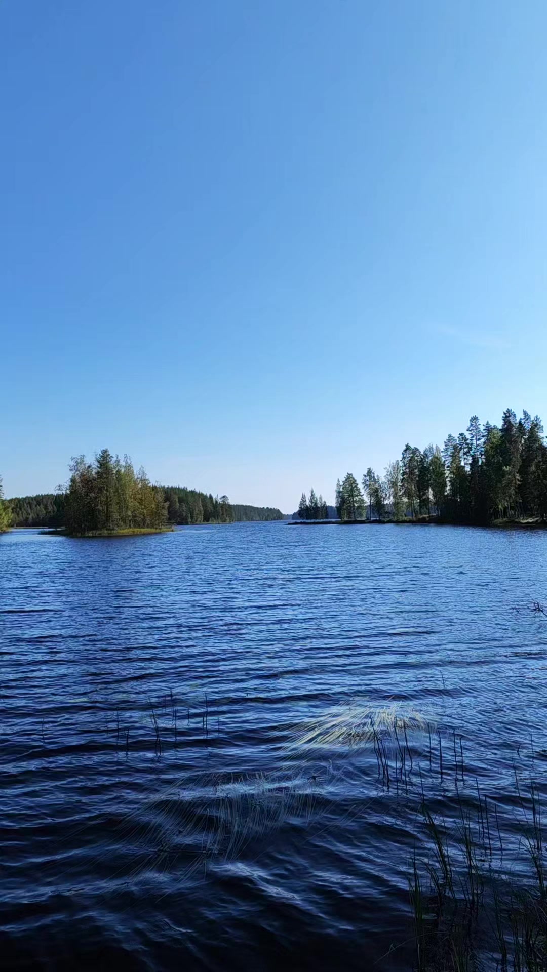 @Aurora🐼