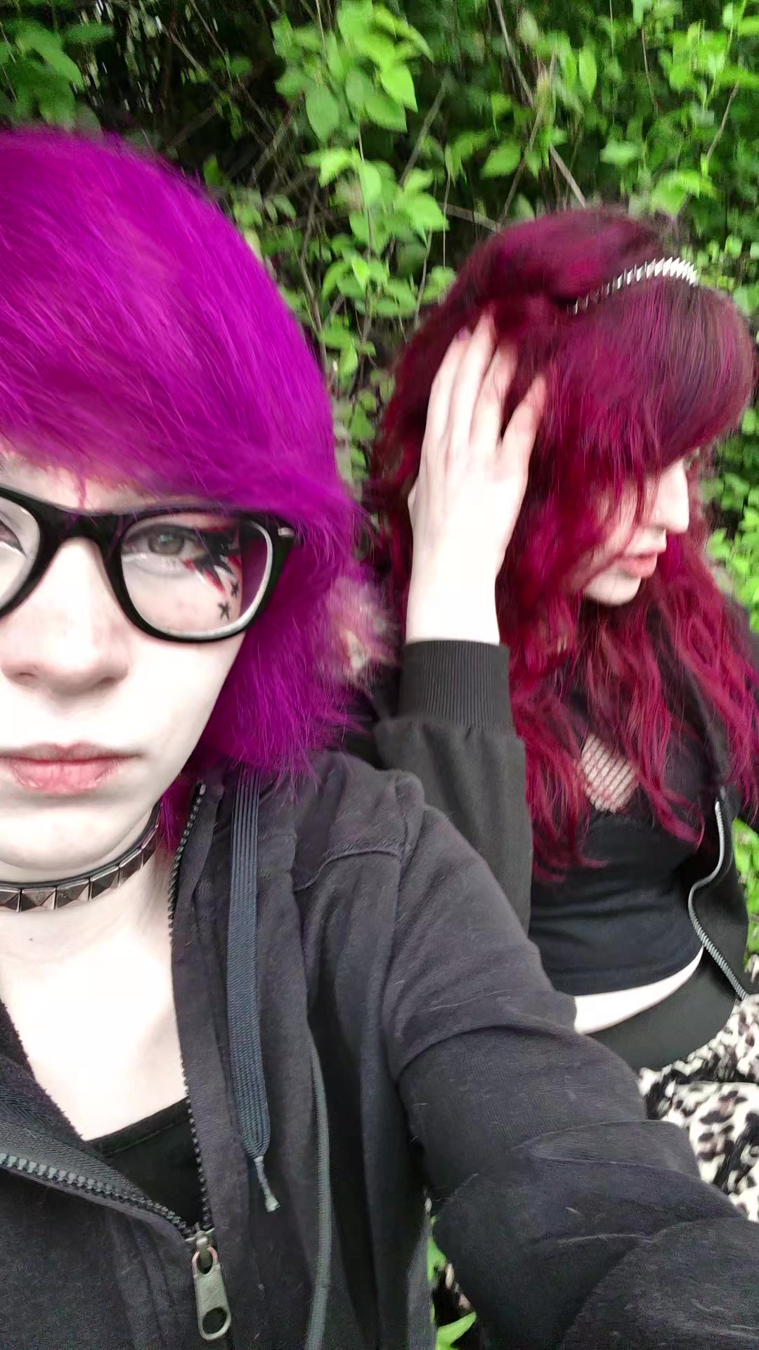 @the_last_meow