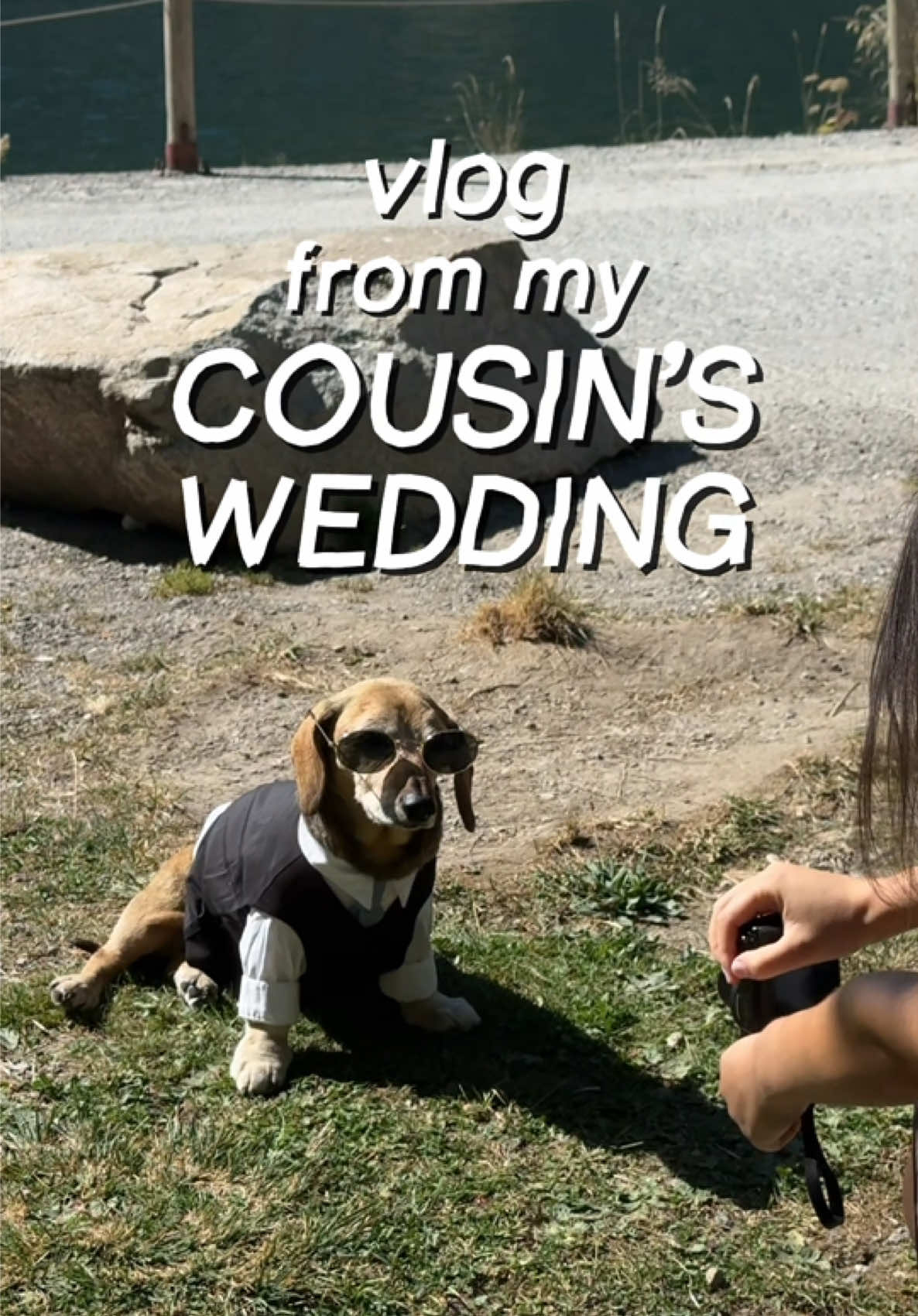 @Lucas The Dog