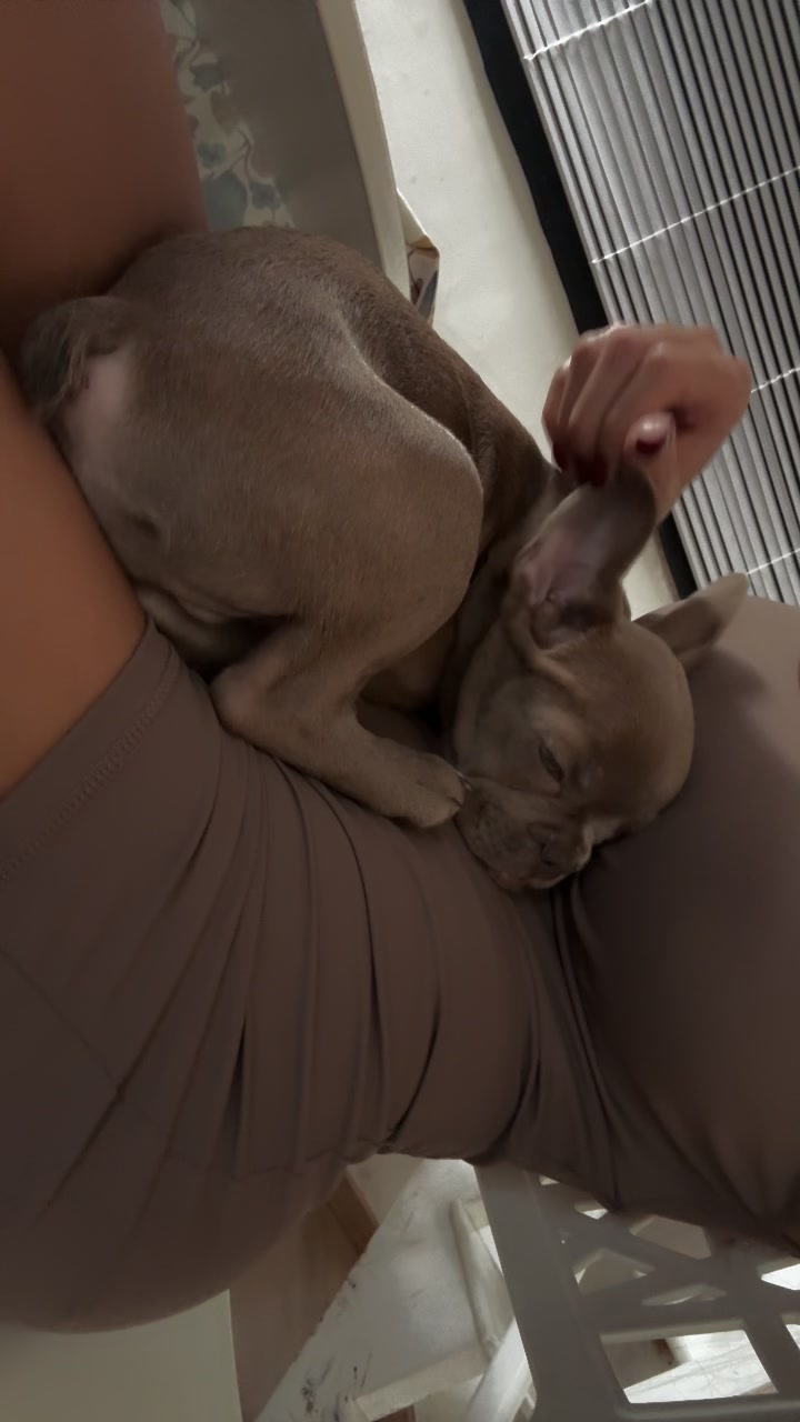 @flaviadevivo