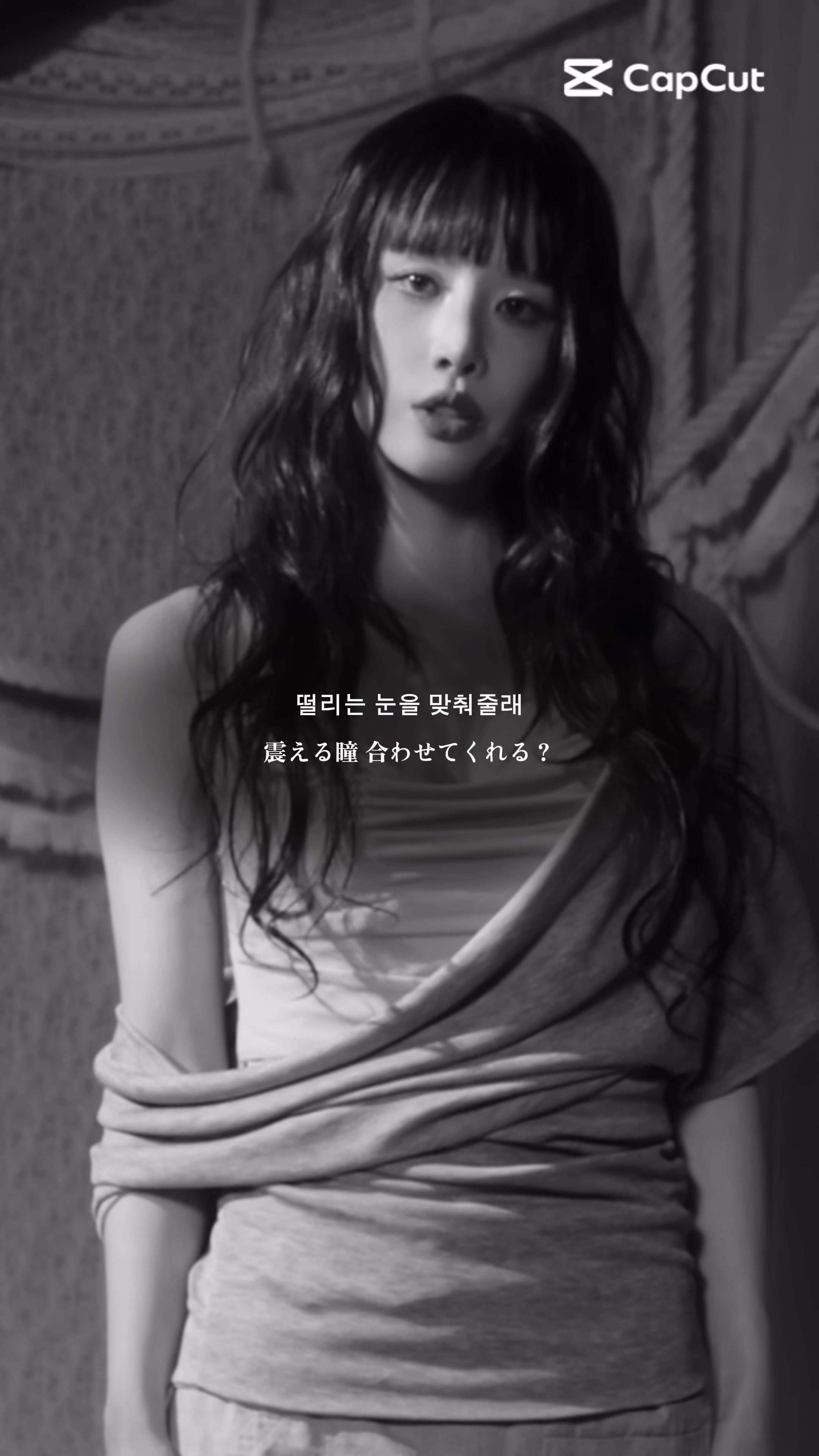 @Kpop広報部長