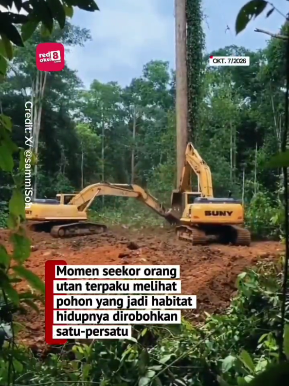 @redaksi8.com