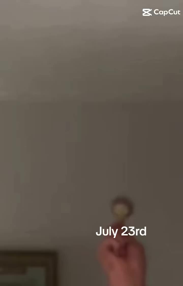 @la_Chaparra723🐳🐋