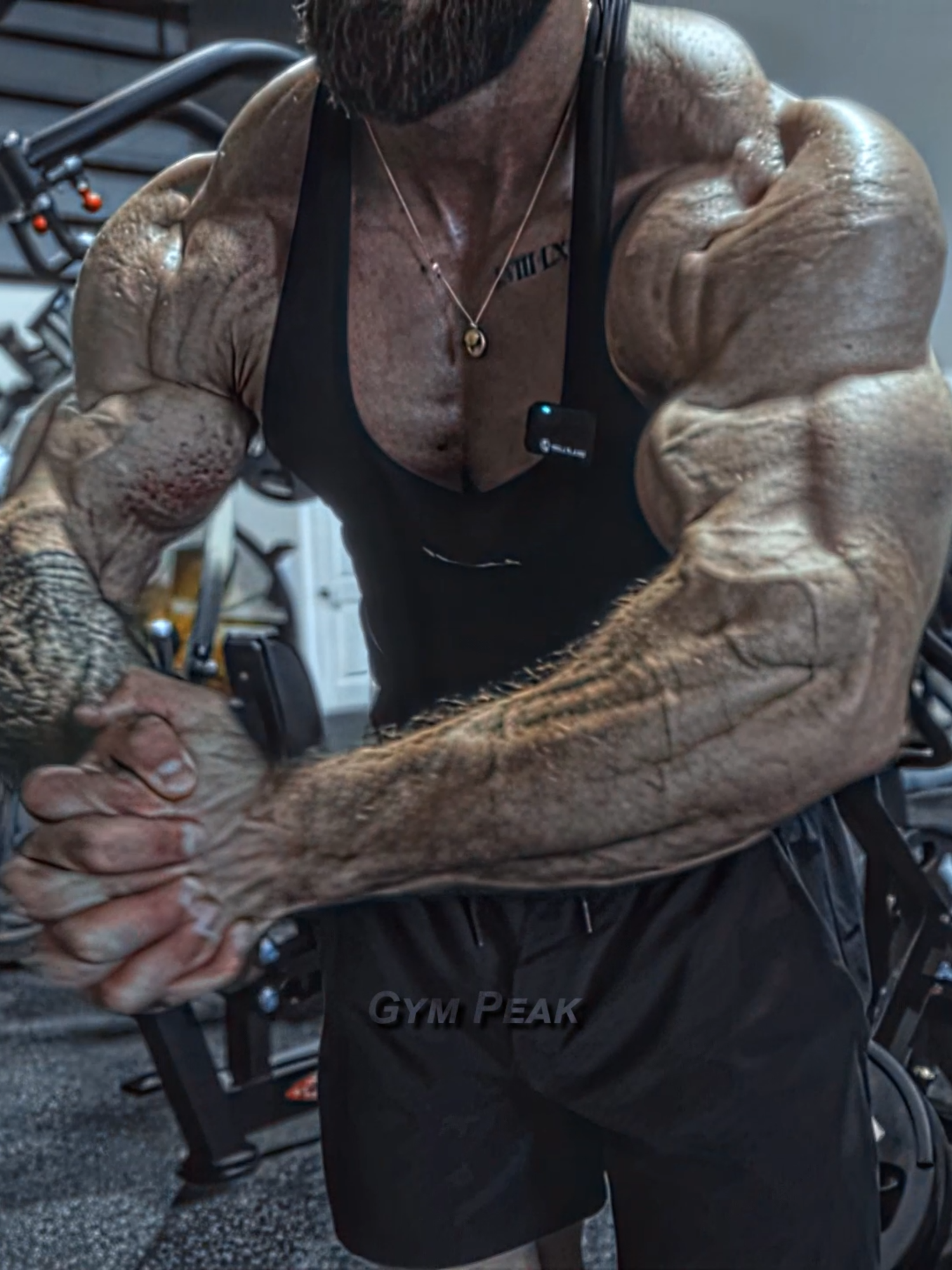 @Gym Peak