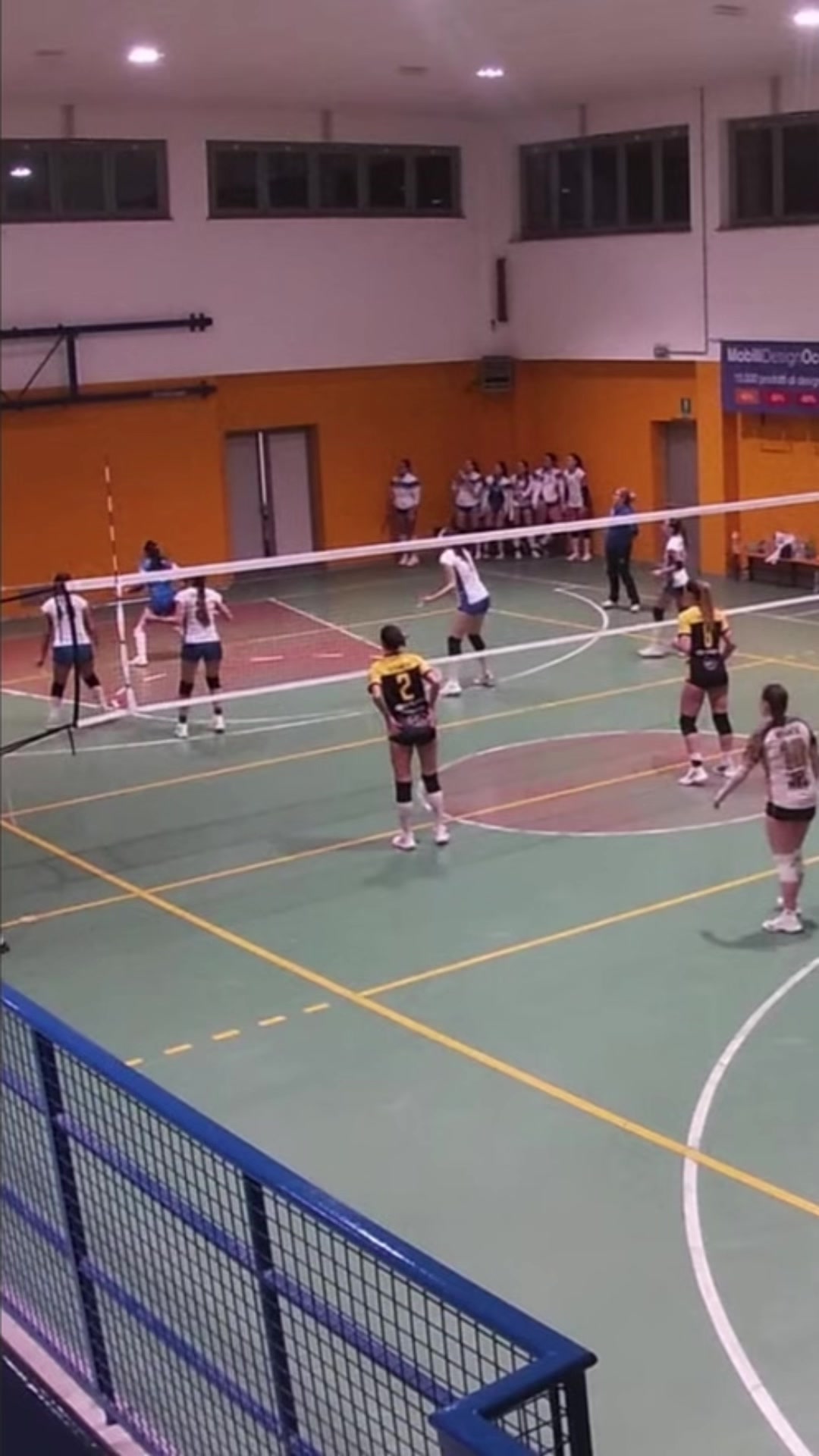 @Majestic Volley