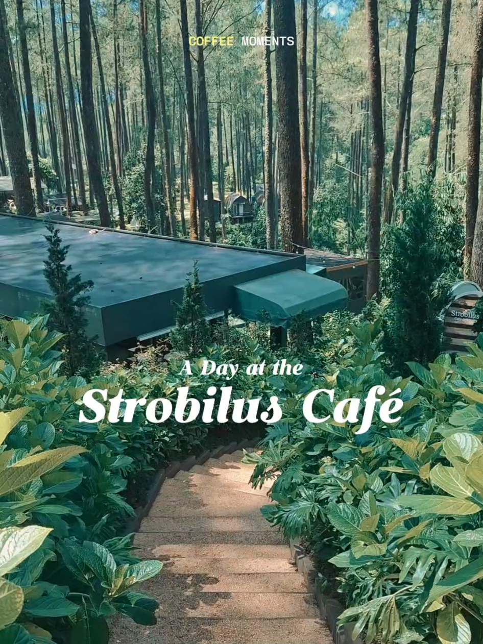 @markus.martinus