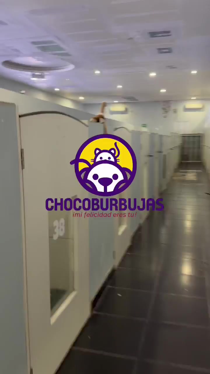@Chocoburbujas 🐾