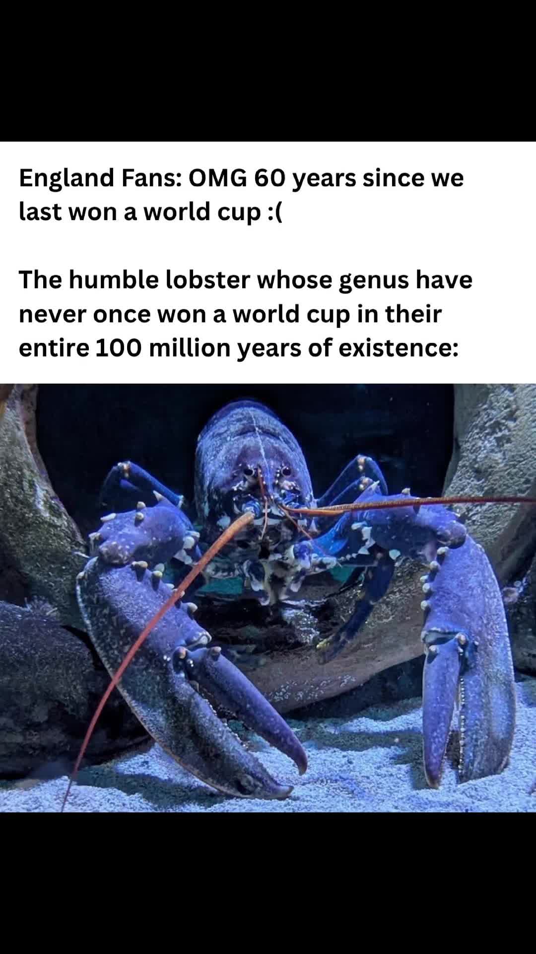 @BristolAquarium