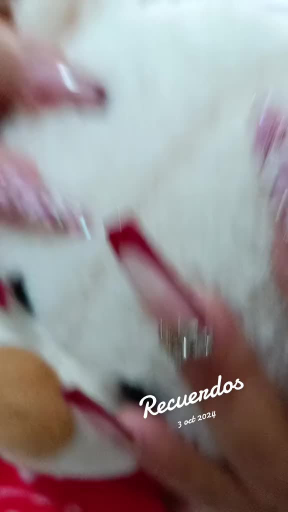 @Marian Melendez