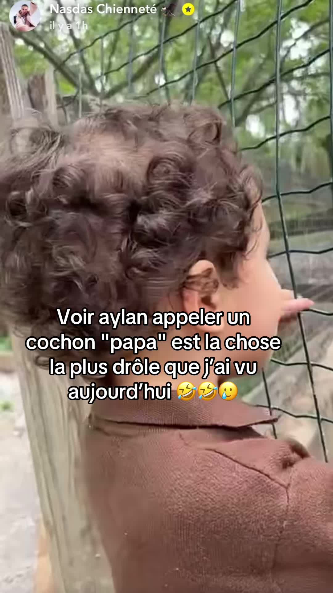 @Lachienneté rediff 🦅📽️