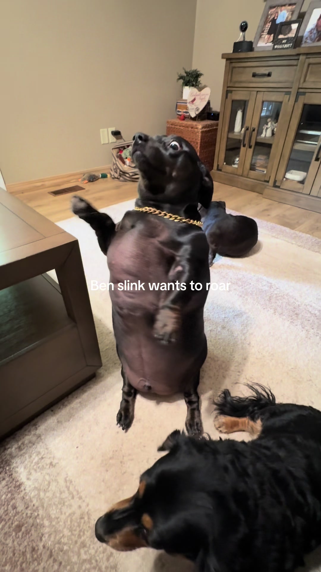 @BenSlinkdawg