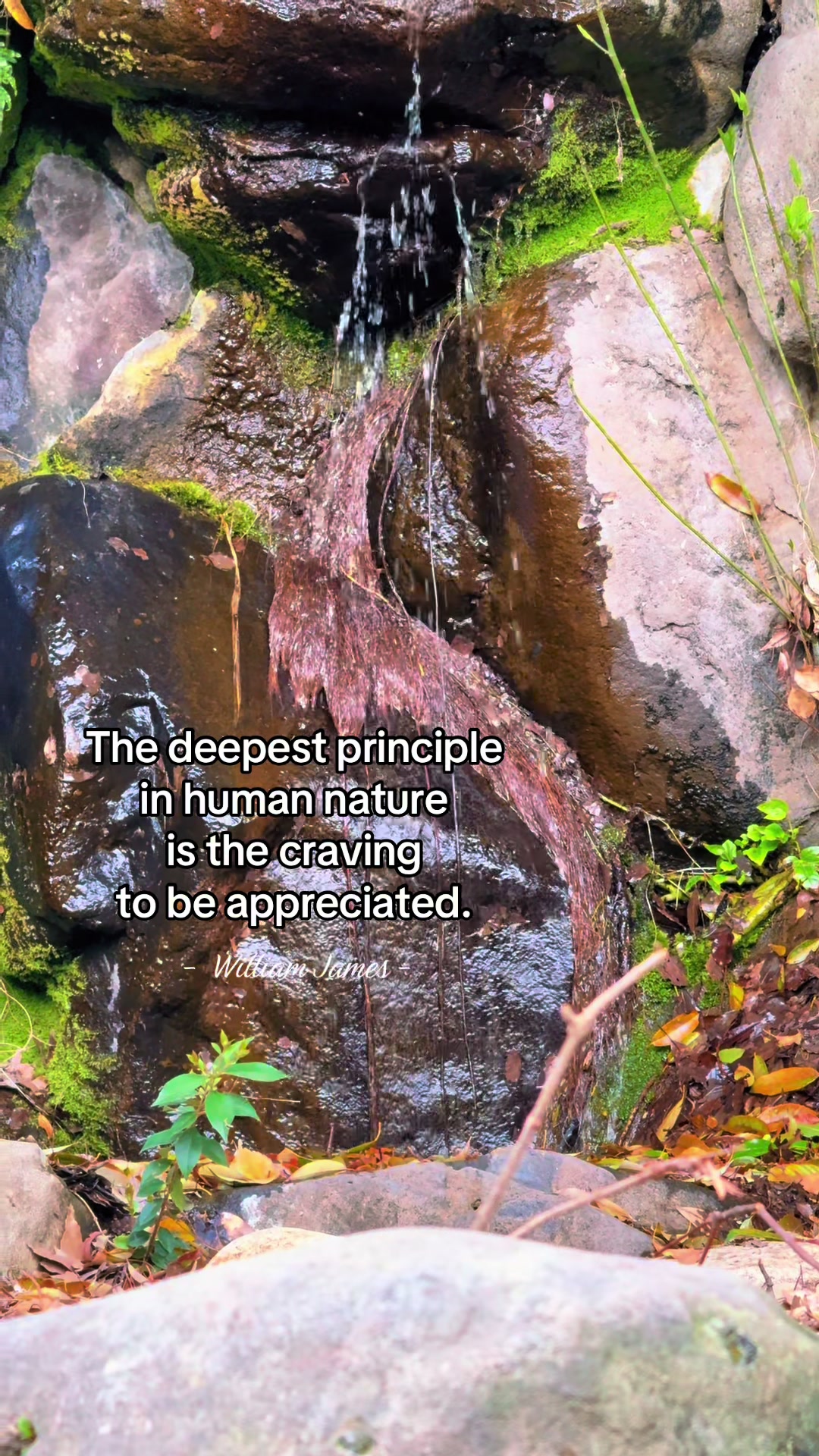 @auntypositivity