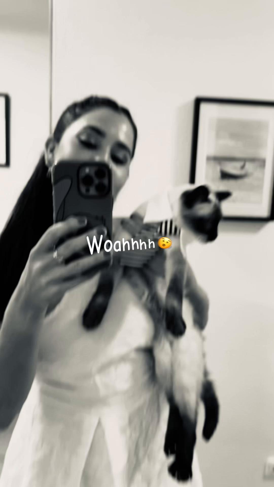 @fattyb11