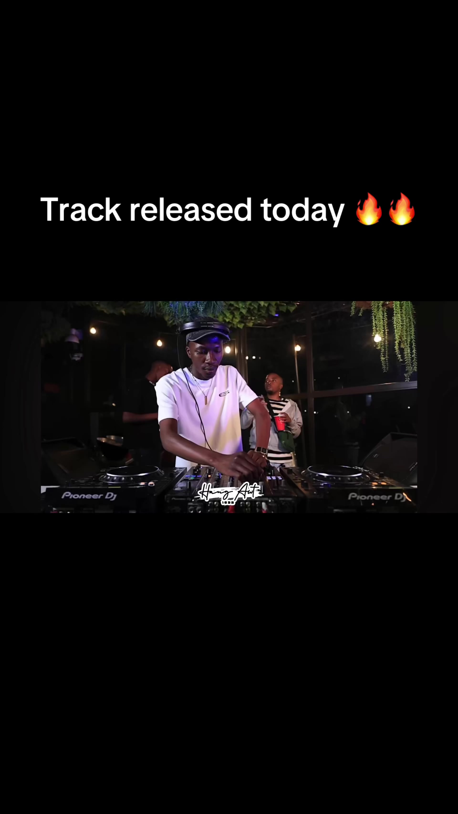 @zamusic.plugger