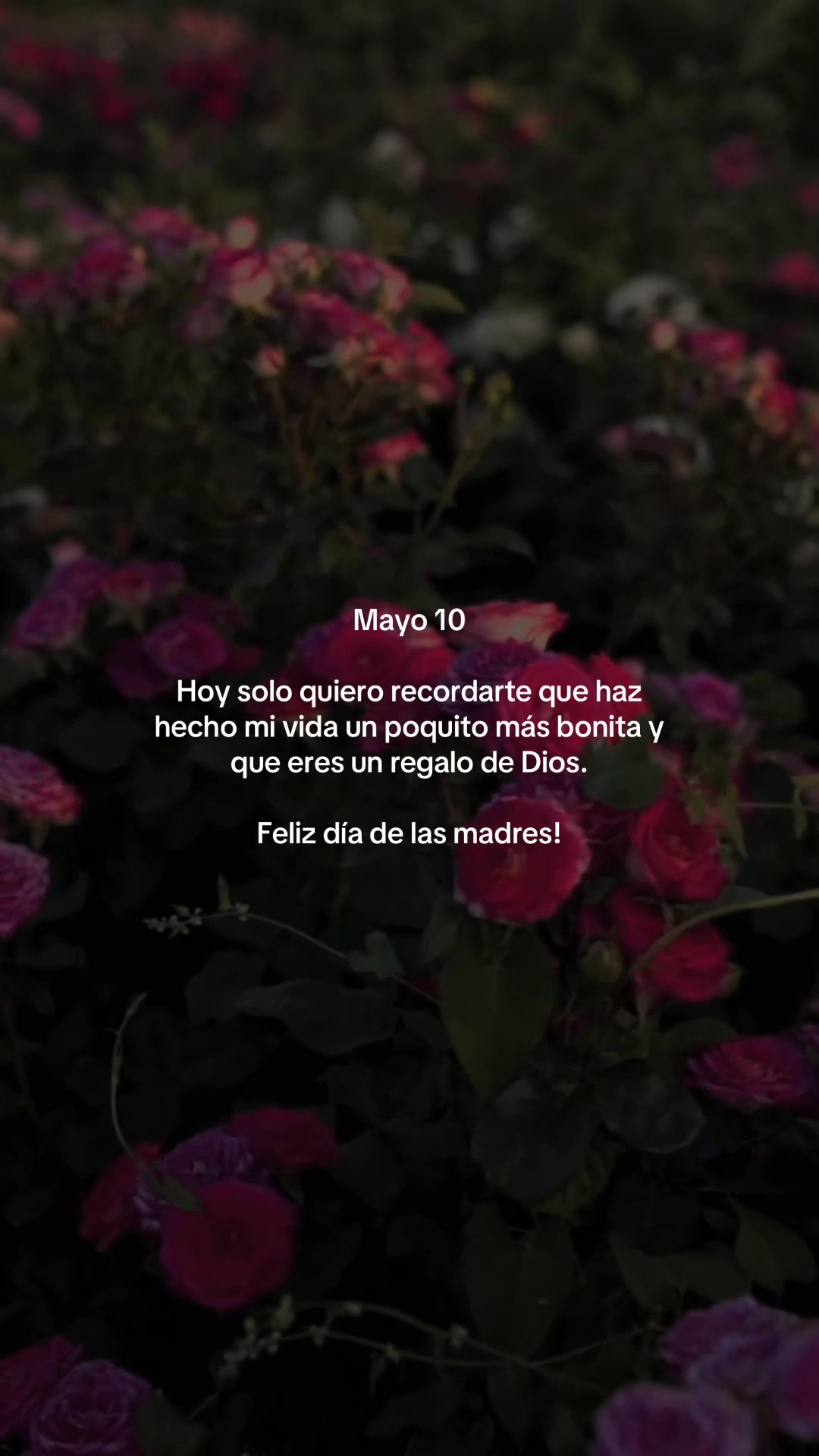 @vidabonita❤️&zwj;🩹