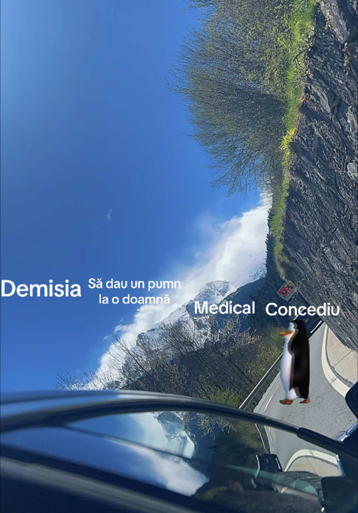 @Raluca Gabriela