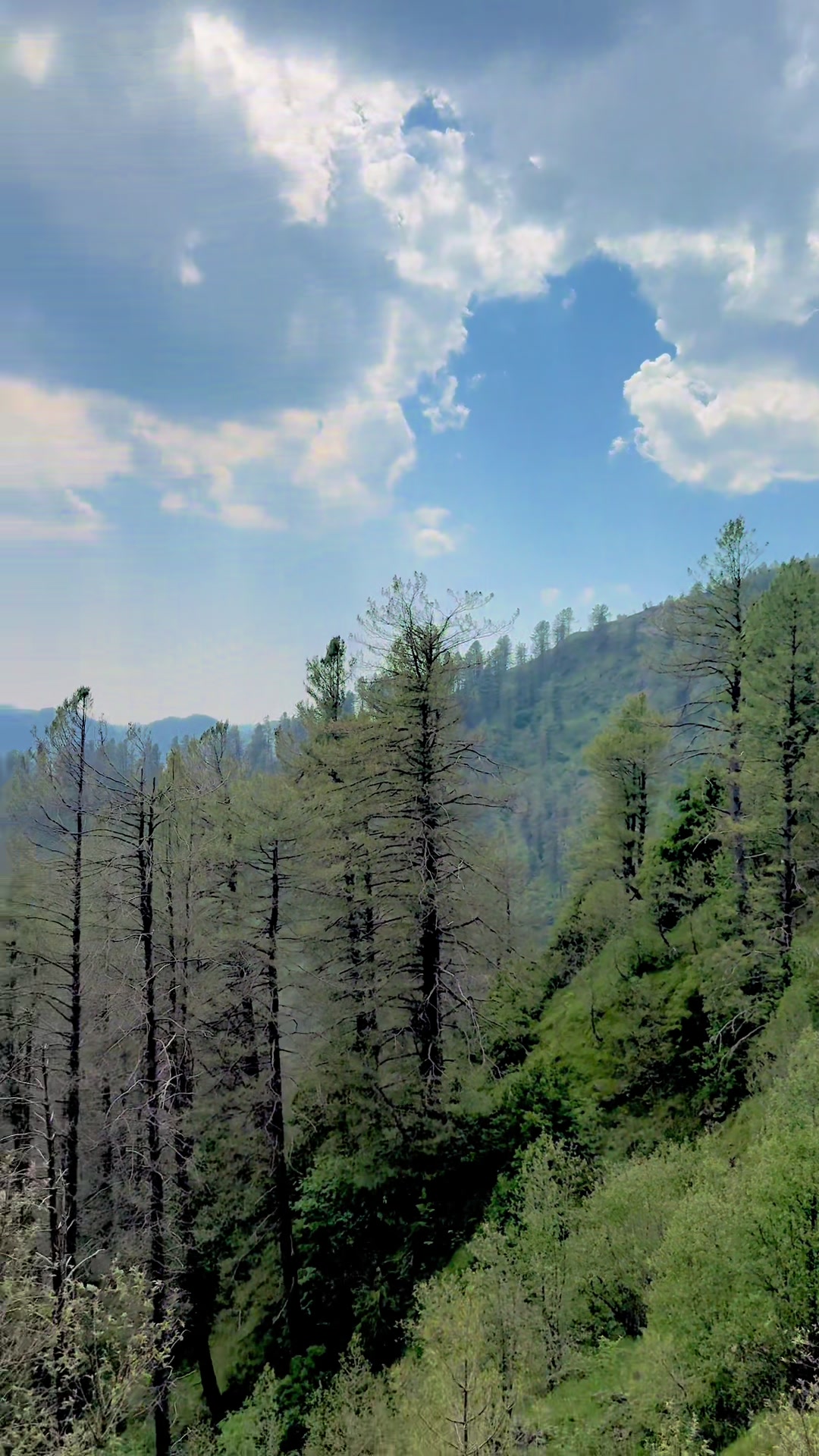 @Nature Beauty AJK