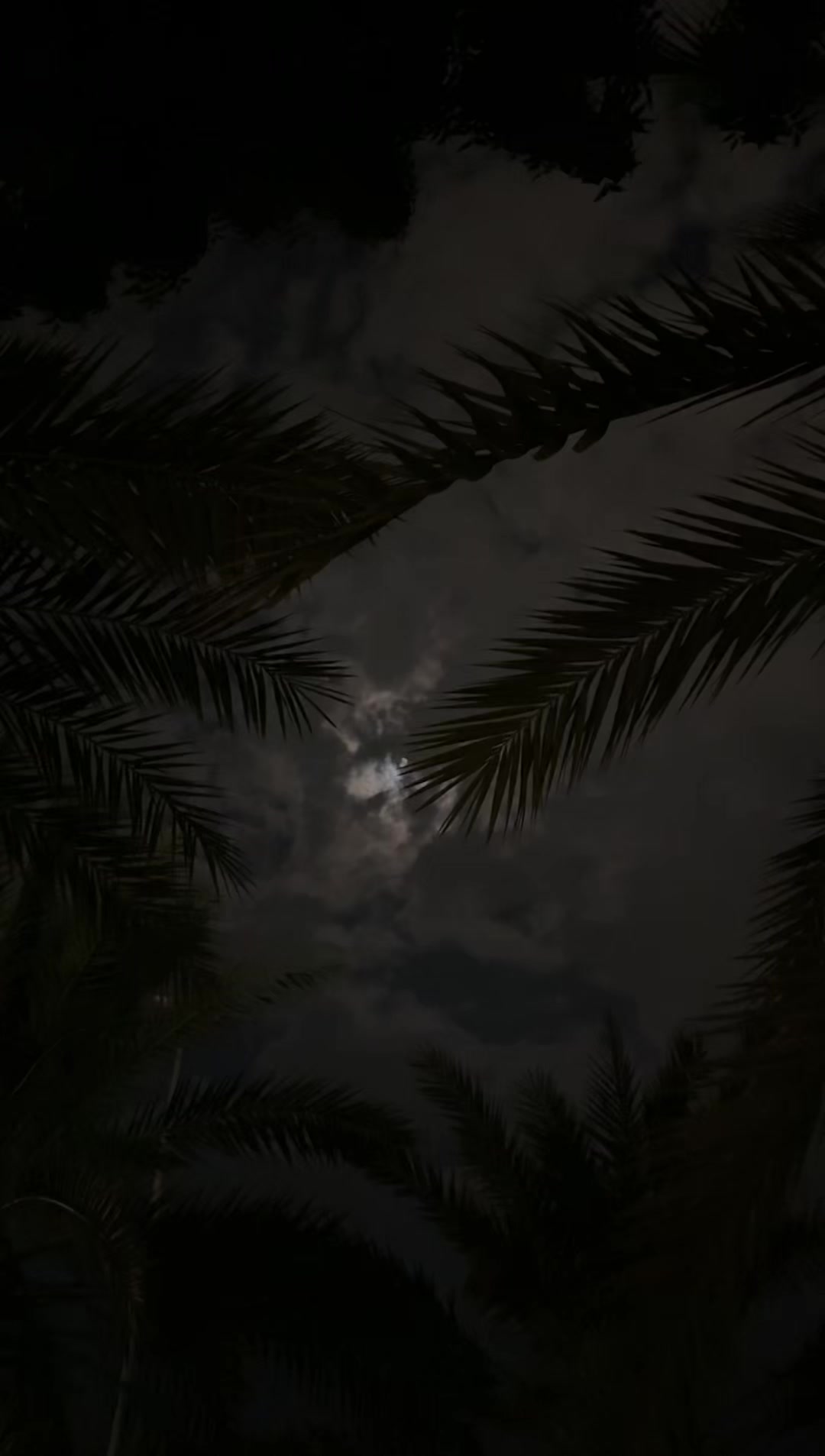 @N🎶