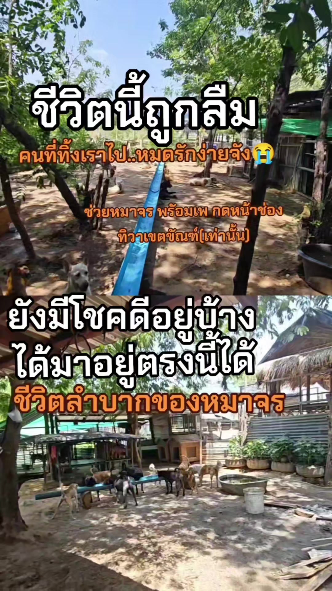 @๐๘๖๑๔o๘๓๙๖ทิวาเขตขัณฑ์